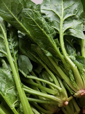 Kore taze organik ıspanak.