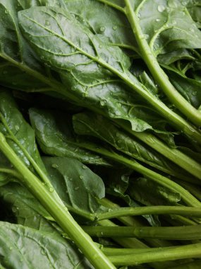 Kore taze organik ıspanak.