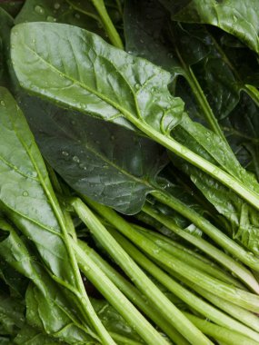 Kore taze organik ıspanak.