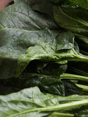 Kore taze organik ıspanak.