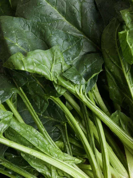 Kore taze organik ıspanak.