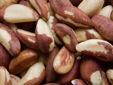 Tahta tahtalarda Brezilya fıstığı, fındık