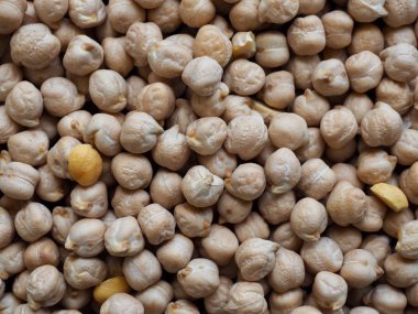 Kore'nin taze organik fasulye, Cicer arietinum