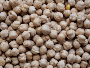 Kore'nin taze organik fasulye, Cicer arietinum