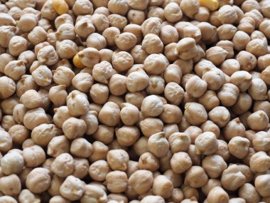 Kore'nin taze organik fasulye, Cicer arietinum