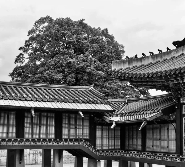 Palácio Tradicional Coreia Changdeok Palace Fotos Preto Branco — Fotografia de Stock