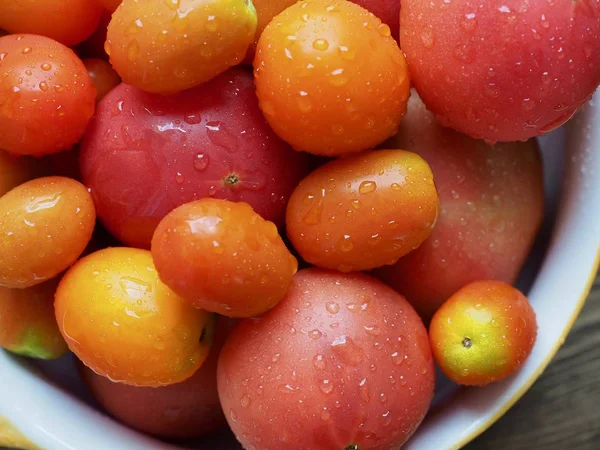 Frische Bio Tomaten Und Bio Kirschtomaten — Stockfoto