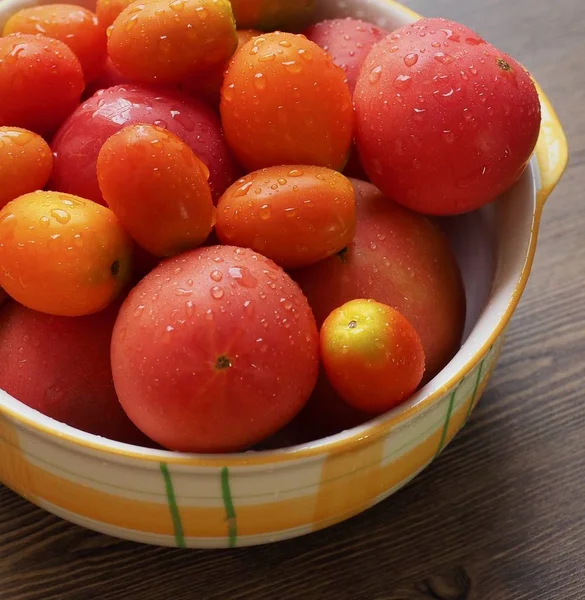 Frische Bio Tomaten Und Bio Kirschtomaten — Stockfoto