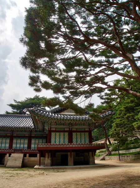 Palácio Tradicional Coreia Changdeok Palace — Fotografia de Stock