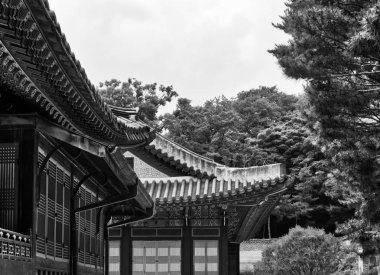 Kore 'nin Geleneksel Sarayı Changdeok Sarayı, Siyah beyaz fotoğraf