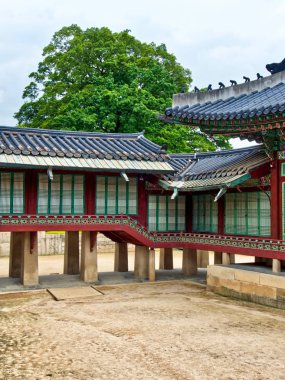 Kore 'nin geleneksel Sarayı Changdeok Sarayı