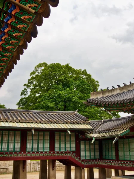 Palácio Tradicional Coreia Changdeok Palace — Fotografia de Stock