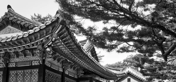 Palacio Tradicional Corea Palacio Changdeok Foto Blanco Negro —  Fotos de Stock