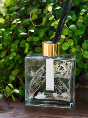 Yaprak ve difüzör, cam şişe, Yaprak ve koku