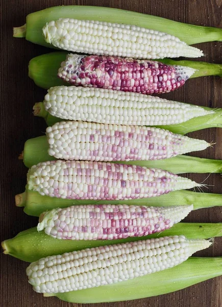 Koreas Fresh Organic Corn Bakgrund — Stockfoto