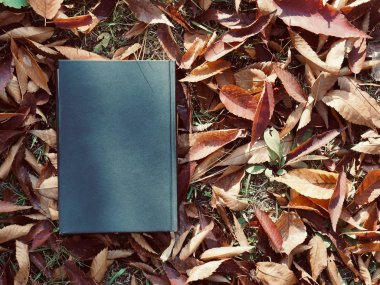 Kitap ve sonbahar akçaağaç yaprakları