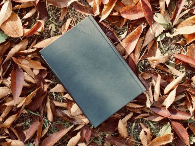 Kitap ve sonbahar akçaağaç yaprakları