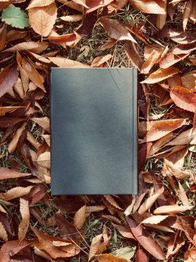 Kitap ve sonbahar akçaağaç yaprakları