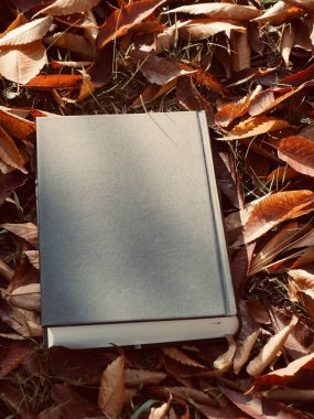 Kitap ve sonbahar akçaağaç yaprakları