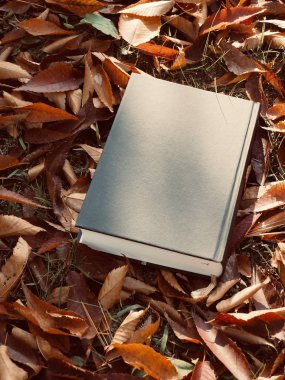 Kitap ve sonbahar akçaağaç yaprakları