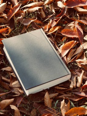 Kitap ve sonbahar akçaağaç yaprakları