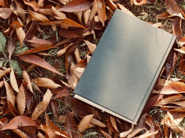 Kitap ve sonbahar akçaağaç yaprakları