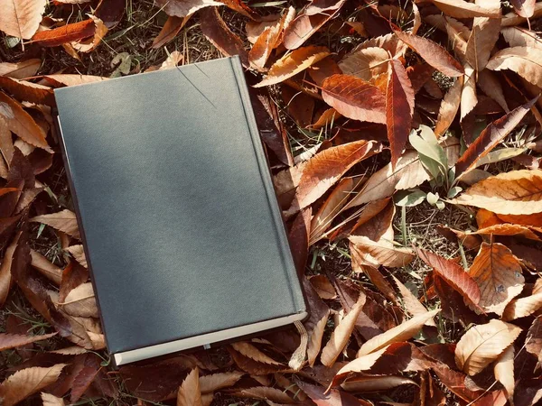 Книги Осенние Кленовые Листья — стоковое фото