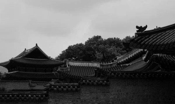 한국의 Changdeok Palace Black White Photo — 스톡 사진