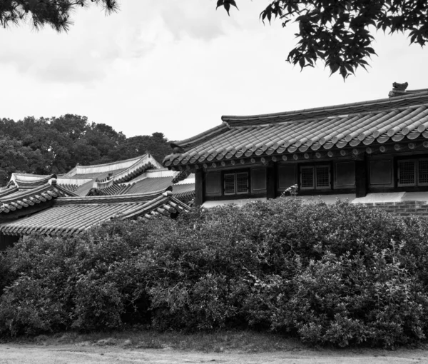 Palácio Tradicional Coreia Changdeok Palace Fotos Preto Branco — Fotografia de Stock