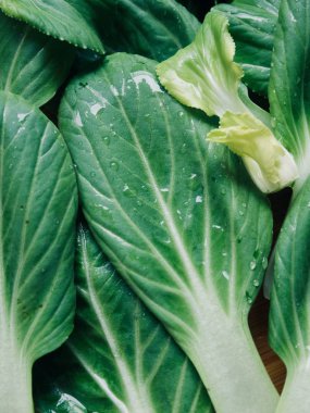 Kore taze organik sebze Bok choy