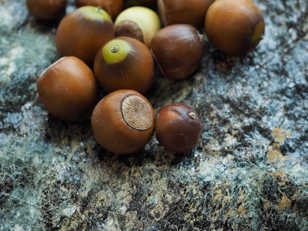 Maíz Orgánico Coreano Alimento Bienestar —  Fotos de Stock