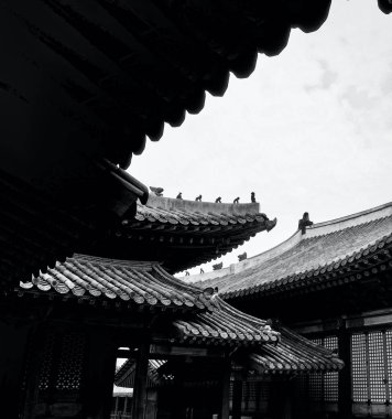 Kore Geleneksel Sarayı Changgyeonggung, Geleneksel Bina, Monokrom Fotoğrafçılık