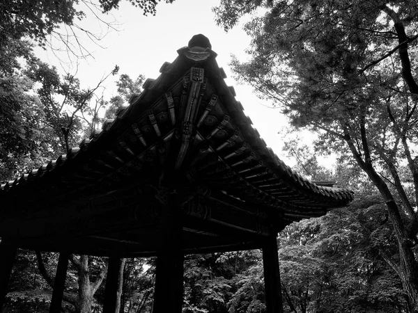 Palais Traditionnel Coréen Changgyeonggung Bâtiment Traditionnel Photographie Monochrome — Photo