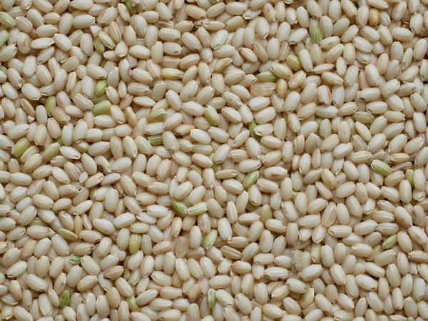 Органический Зерновой Коричневый Рис Корее — стоковое фото