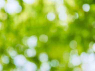 Bokeh ile soyut yaz arkaplanı 