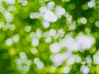 Bokeh ile soyut yaz arkaplanı 