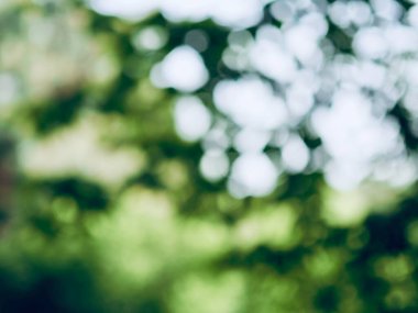 Bokeh ile soyut yaz arkaplanı 