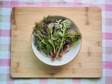Taze organik sebzeler bir aralia, dikenli diken, araliaceae
