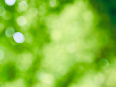 Bokeh ile soyut yaz arkaplanı 