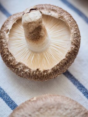 Taze organik sebzeler Shiitake mantarları.