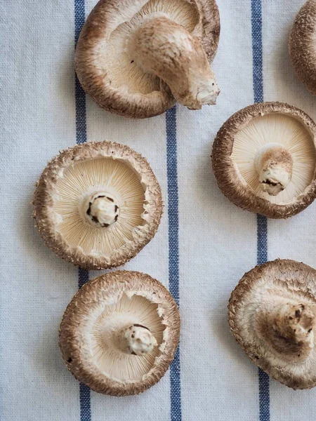 Friss Bio Zöldség Shiitake Gomba — Stock Fotó