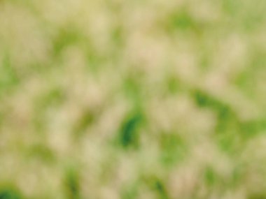 Bokeh ile soyut yaz arkaplanı 