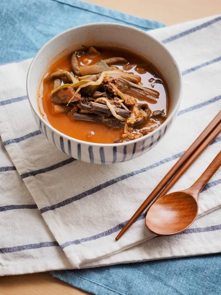 Makanan Tradisional Korea Yukgaejang Sup Daging Sapi — Stok Foto