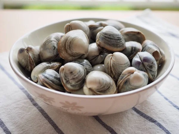 Fruits Mer Frais Palourdes Naturelles — Photo