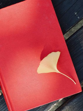 Kırmızı kitap ve sonbahar akçaağacı, Ginkgo yaprakları