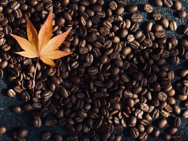 Жареные Кофейные Зерна Кленовые Листья — стоковое фото