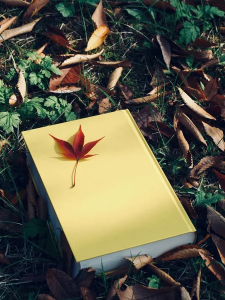 Yellow Book Autumn Maple Leaves Fallen Leaves — Stock Photo, Image