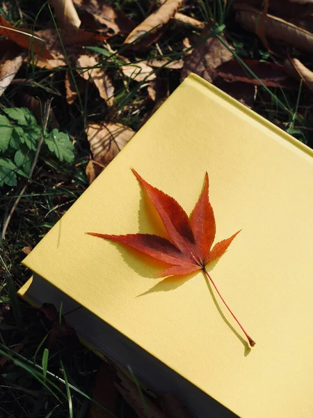 Yellow Book Autumn Maple Leaves Fallen Leaves — Stock Photo, Image