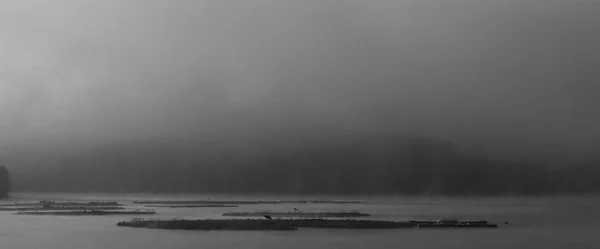 Κορέα Cheongju City Daecheong Lake Morning Νερό Ομίχλη Τοπίο Μονόχρωμη — Φωτογραφία Αρχείου