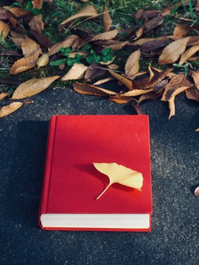 Kırmızı kitap ve sonbahar akçaağacı, Ginkgo yaprakları